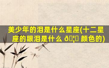 美少年的泪是什么星座(十二星座的眼泪是什么 🦊 颜色的)